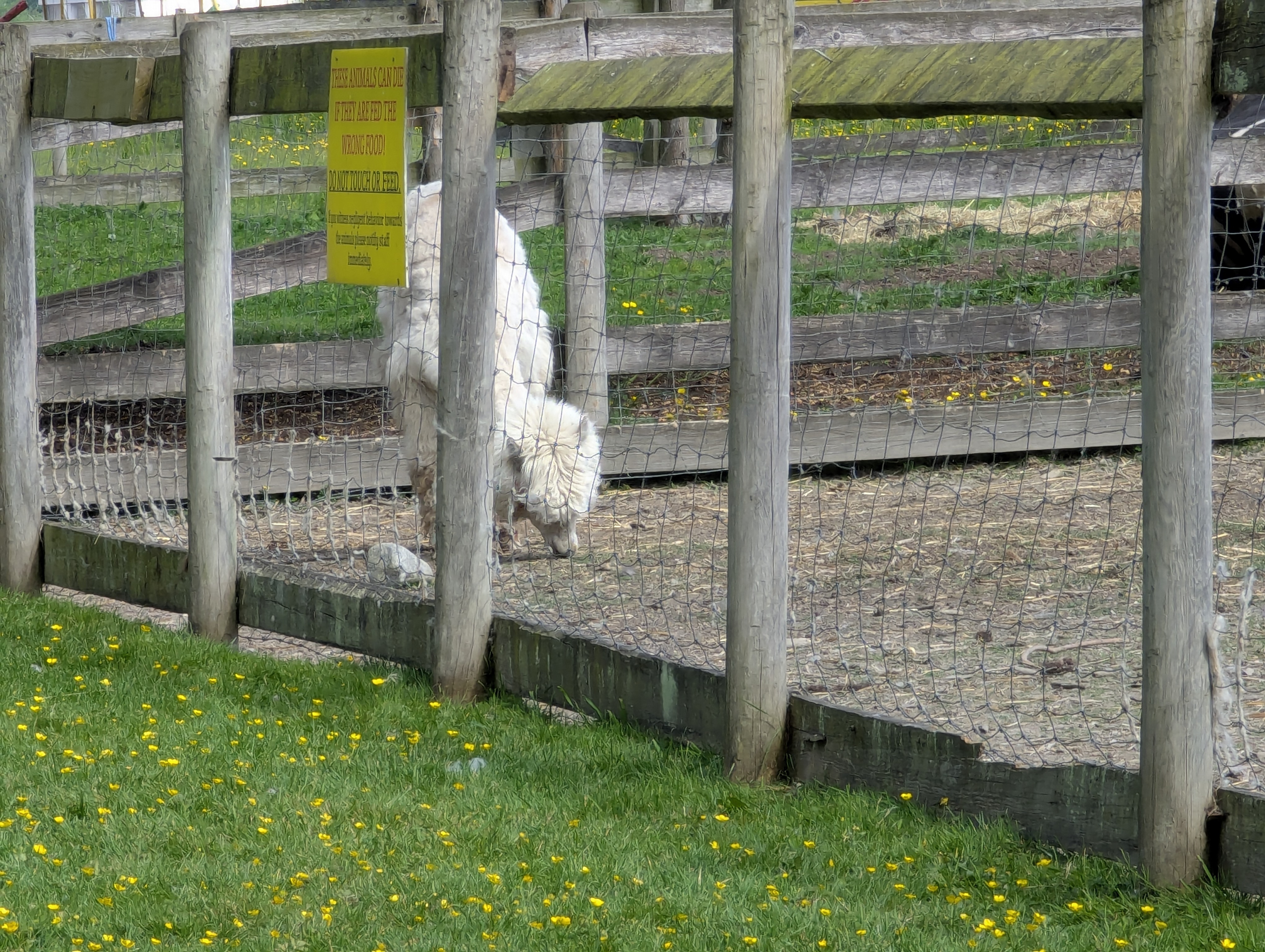 Birthday Trip to Canada, Country Vines Winery, Richmond, British Columbia